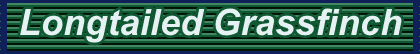 longtailedheader.gif (3321 bytes)